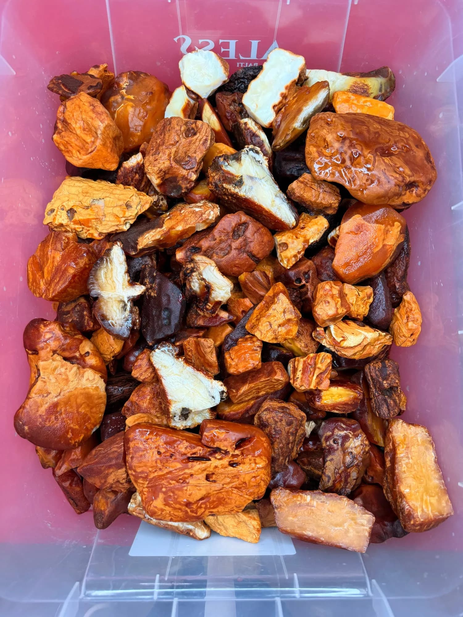 Super Tiger Nuggets - Premium Baltic Amber - 1